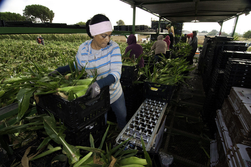 California Farmers and Farm workers