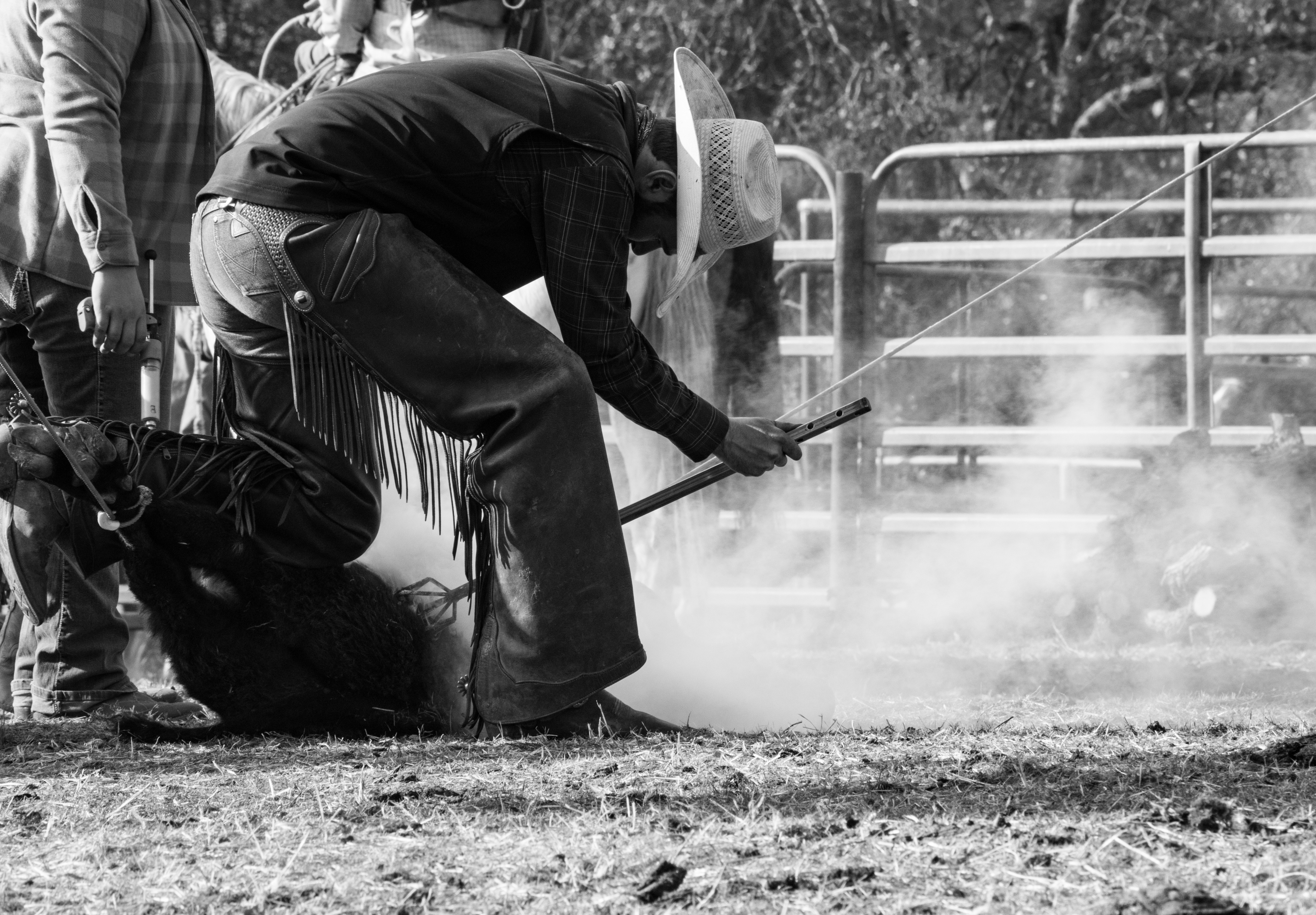 Beef Cattle Picture 3 for My Job Depends on Ag Magazine, Beef Ranchers Guide Part 3 Cattle branding 