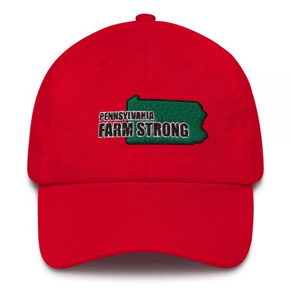 Farm Strong Baseball Cap Pennsylvania  (MADE IN USA) - Image 6