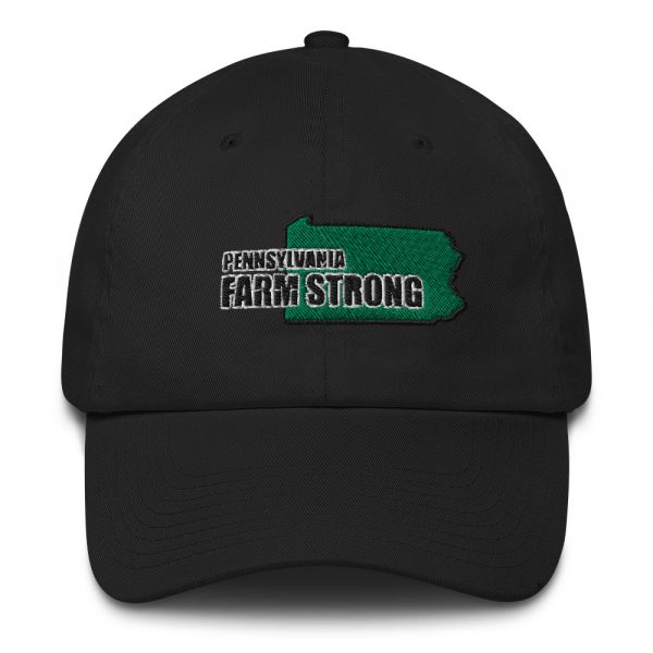 Farm Strong Baseball Cap Pennsylvania  (MADE IN USA) - Image 2