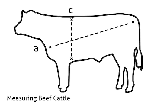 https://mjdoamag.com/wp-content/uploads/2021/02/cattle-weight-main-image-copy.png